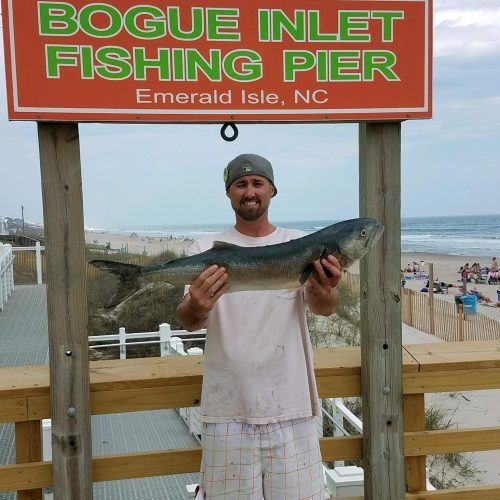 ADAM CLARK ( Emerald Isle, NC)--- 9 lb. 2 oz. BLUEFISH .............. 4-14-17