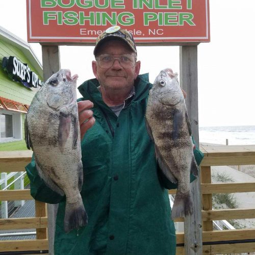 RAYMOND ROBINSON (Snow Hill, NC)-- 2 BLACK DRUM (caught on bait shrimp) ....4-25-17