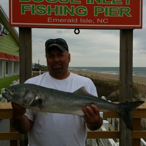 DAVID IMPAGLIAZZO (Hickory, NC)-- 8 lb. 14 oz. HATTERAS BLUE ....4-18-17