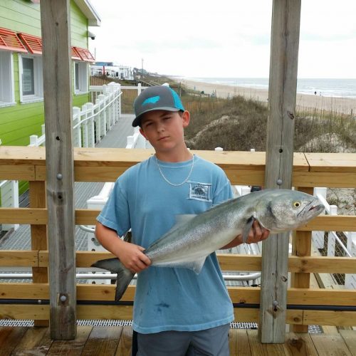 JAKE HUNT (Louisburg, NC)-- 7 lb. 12 oz. HATTERAS BLUE ....4-18-17