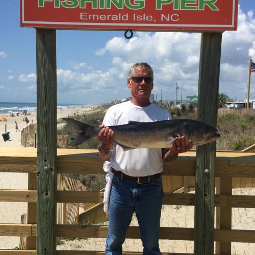 JOE BOYLE (Emerald Isle NC)-- 14 lb. 8 oz. HATTERAS BLUE ....4-20-17