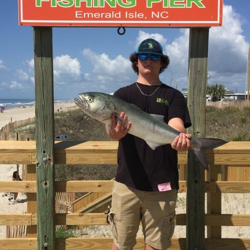 MICAH NEW (Caswell, NC)-- 9 lb. HATTERAS BLUE ....4-20-17