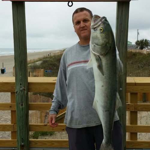 MITCH FORTESCUE (Winston-Salem, NC)-- 9 lb. 14 oz. HATTERAS BLUE ....4-18-17