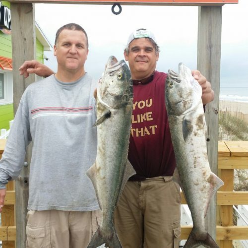 MITCH & SCOTT FORTESCUE (Winston-Salem, NC)-- 8 lb. 12 oz. & 7 lb. 4 oz. HATTERAS BLUES ....4-18-17