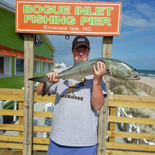 PATRICK GREAT (Greenville, NC)-- 7 lb. 14 oz. HATTERAS BLUE ....4-18-17