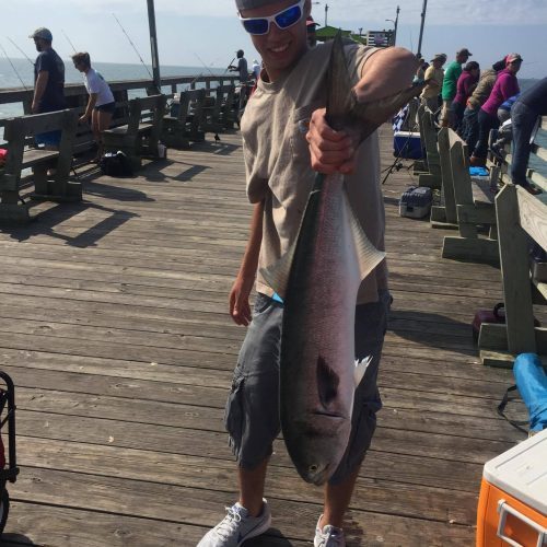 ZACHARY McCAULEY (Wendell, NC)-- 10 lb. 4 oz. HATTERAS BLUE ....4-22-17