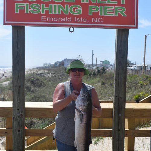 CATHY ALDEN (Middlesex, NC)-- 12 lb. 8 oz. HATTERAS BLUE ....4-30-17