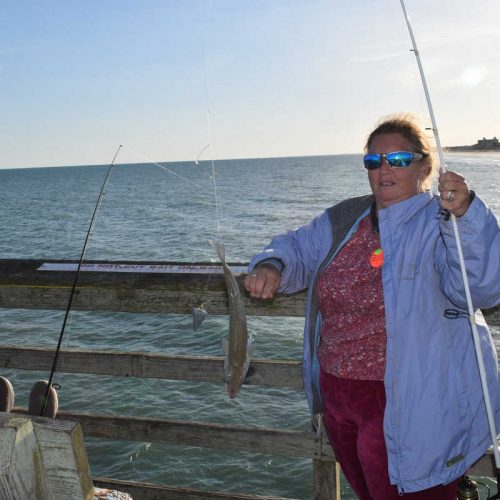 Sea Mullet!