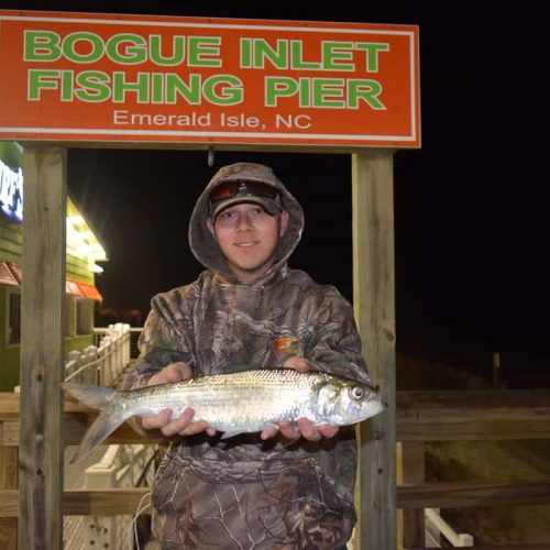 HUNTER TRIPP (Greenville, NC)-- 1 lb. 10 oz. SHAD ....4-14-18