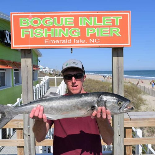 JEREMY SWANNER (Washington, NC)-- 7 lb. HATTERAS BLUE ....4-28-18