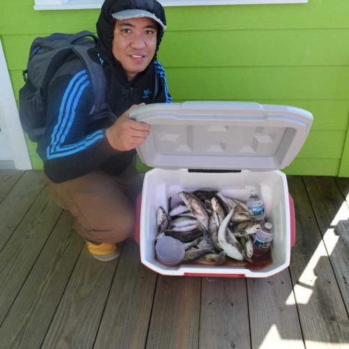 JONISON RIVERA (Jacksonville, NC)-- COOLER of SEA MULLET ....4-14-18