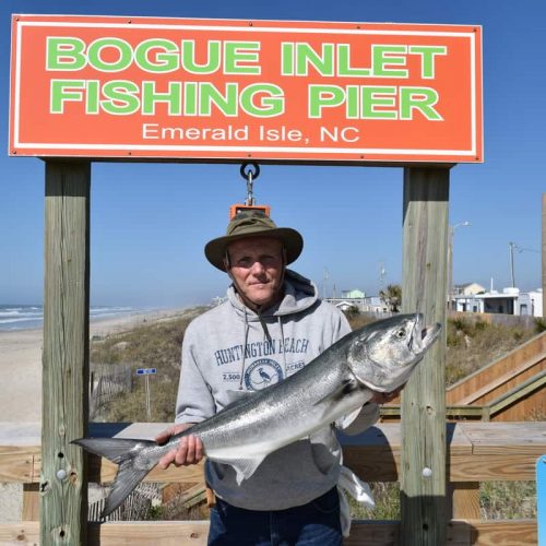 ROBERT CHURCH (Lewisville, NC)-- 11 lb. 6 oz. HATTERAS BLUE ....4-25-18