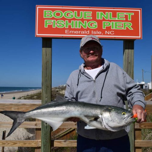 DAVID JONES (Midway, NC)-- 11 lb. HATTERAS BLUE ....4-30-18