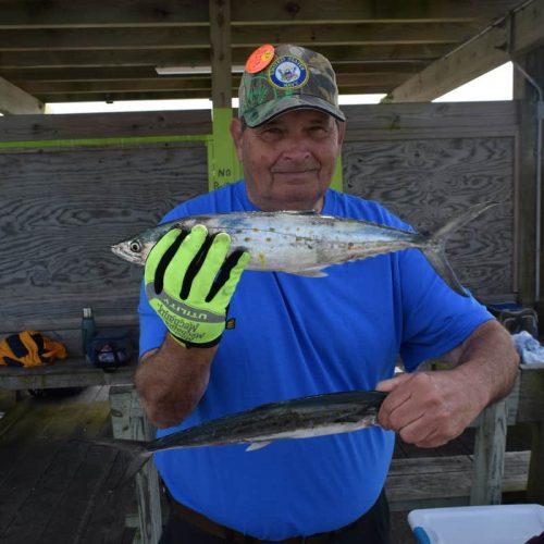 Spanish Mackerel!