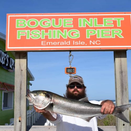 GEORGE McCAIN (New Bern, NC)-- 8 lb. 5 oz. HATTERAS BLUE ....5-4-18