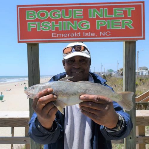 GLENN HALL (Morehead City, NC)-- 1 lb. 12 oz. SEA MULLET ....5-1-18