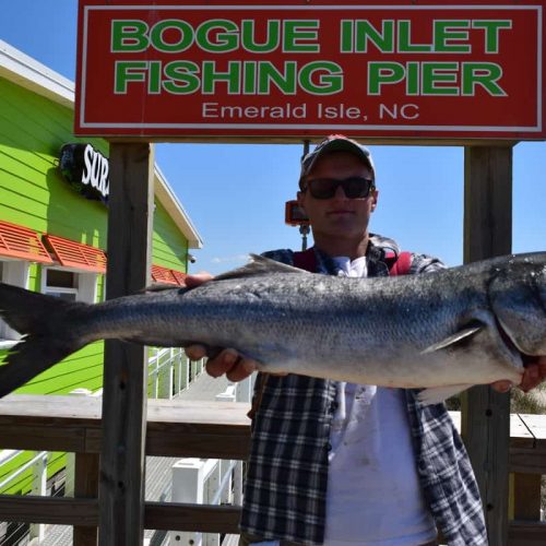 JOSEF HIMES (Peletier, NC)-- 8 lb. 8 oz. HATTERAS BLUE ....4-30-18