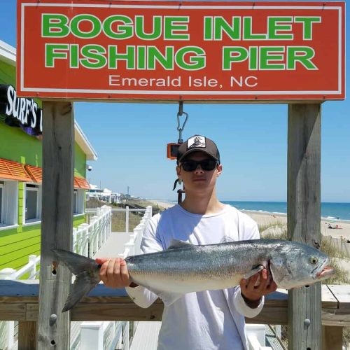 ROBERT VOYDETICH (Swansboro, NC)-- 5 lb. HATTERAS BLUE ....5-2-18