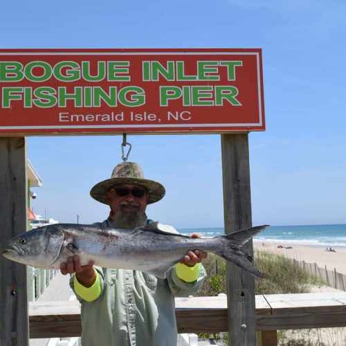 'ZOMBIE' (Emerald Isle, NC)-- 11 lb. HATTERAS BLUE ....5-10-18