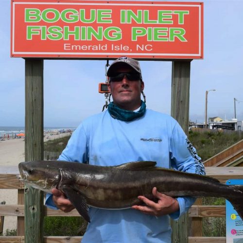 ERNEST EDWARDS (Cedar Point, NC)-- 28 lb. COBIA ....5-27-18