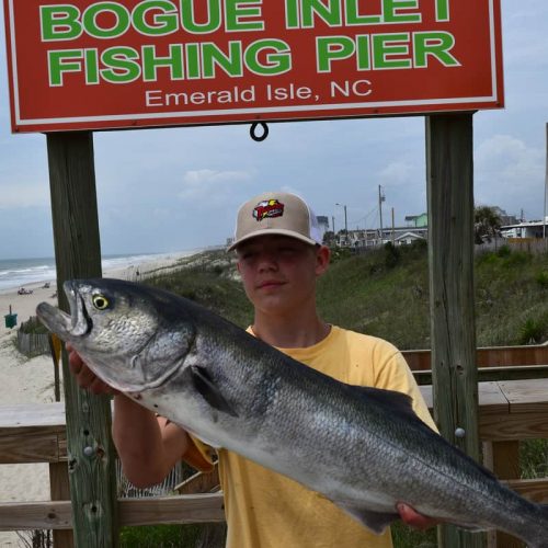 HUNTER WOOD (Emerald Isle, NC)-- 10 lb. HATTERAS BLUE ....5-21-18