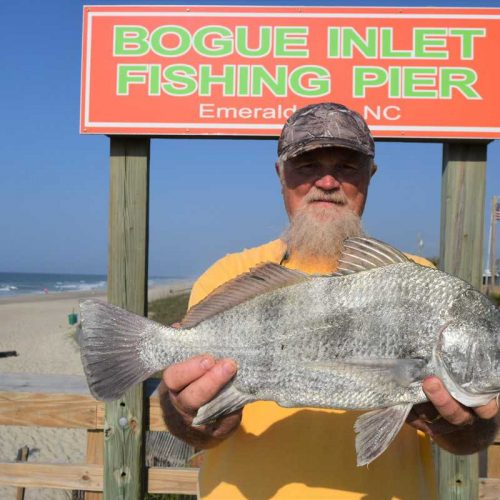 RICKEY TERRY (Wake Forest, NC)-- 3 lb. 15 oz. BLACK DRUM ....5-13-18