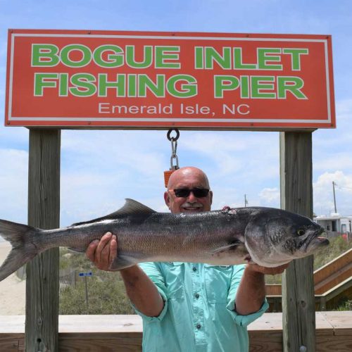 'ZOMBIE' (Emerald Isle, NC)-- 13 lb. HATTERAS BLUE ....5-16-18