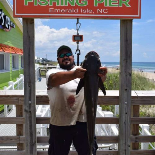 GERRY JONES (Emerald Isle, NC)-- 19 lb. COBIA ....6-27-18