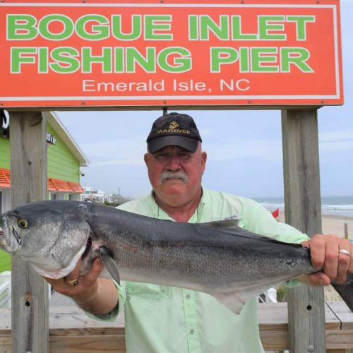 ONE LEG DAN (Saint Albans, WV)-- 11 lb. HATTERAS BLUE ....5-30-18