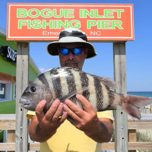 ROY HEDGEPATH (Sharpsburg, NC)--4 lb. SHEEPSHEAD ....6-618