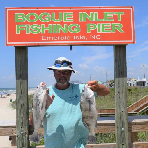 ROY HEDGEPETH (Sharpsburg, NC)-- 2 BLACK DRUM ....6-14-18