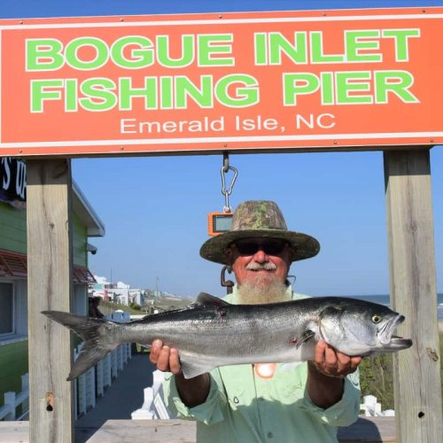 ZOMBIE (Emerald Isle, NC)-- 6 lb. HATTERAS BLUE ....6-2-18